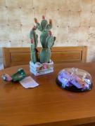 Top Carrozziere – Fonte Ciane