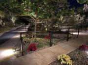 Top San José del Cabo