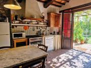 Top Montecastelli Pisano