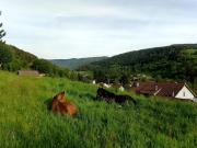 Top Saint-Maurice-sur-Moselle