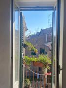 Top San Lorenzo Nuovo