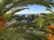Top Cannes