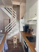 Top Saint-Martin-de-Ré