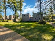 Elegant Forest Mansion Elegant Forest Mansion