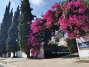Top Protaras