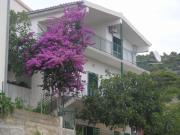 Apartments Neva Apartments Neva