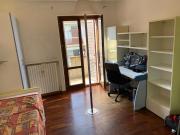 Top Marina di Montemarciano