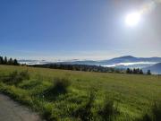 Gîte la Ferme du piefaud