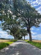 Top Brundbymark Top Brundbymark