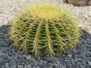 Top San Vito lo Capo