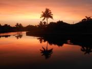 Top Port Charlotte