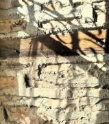 Melodia - Harmony Heaven