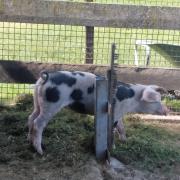 Top Breitenbach am Inn