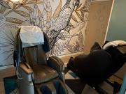 Top Pradines Top Pradines