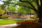 Top Falls Church