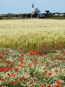 Petite maison dans le jardin