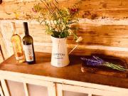 Top Jablonné v Podještědí