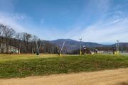 Top Wintergreen