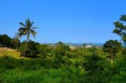 Top Amphoe Koh Samui