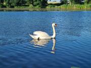 Top Wręcza Top Wręcza