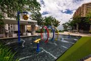 Top Jelutong