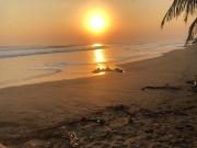 Top Jiquilillo Top Jiquilillo