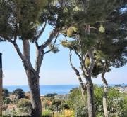 Maison bord de Mer au calme sous les Pins