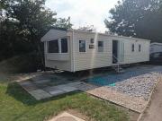 Mallard at Carlton meres