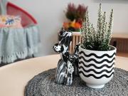 Top Wrocław Top Wrocław