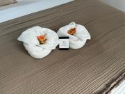 SB Bed and Breakfast Scandinave