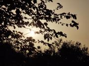 Top Chiaramonte Gulfi