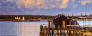 Top Prospect Harbor