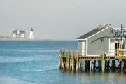 Top Prospect Harbor