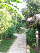 Top Ko Chang