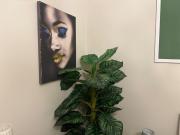 Top Palermo Top Palermo