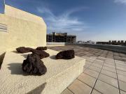 Top Santa Cruz de Tenerife