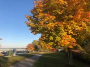 Top Suttons Bay