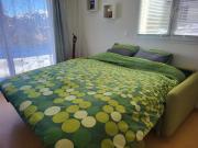 Top Puy-Saint-Vincent