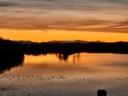 Top Wasilla