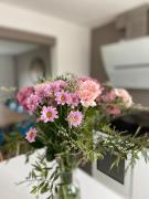 Top Saint-Pol-de-Léon