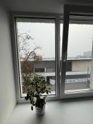 Top Daugavpils