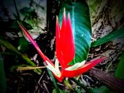 Top Concepción del Uruguay