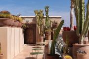 Top Marrakesz