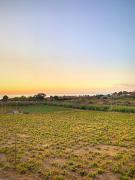 Vineyard Shores - Manilva