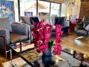 Hotel King David Bakuriani Mountain View