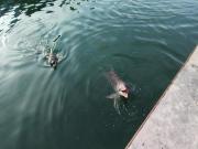 Top Puerto Aventuras