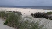 Top Borkum