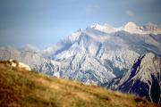 Top Ramsau im Zillertal