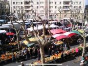 Top Toulon