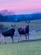 Top Mrągowo Top Mrągowo